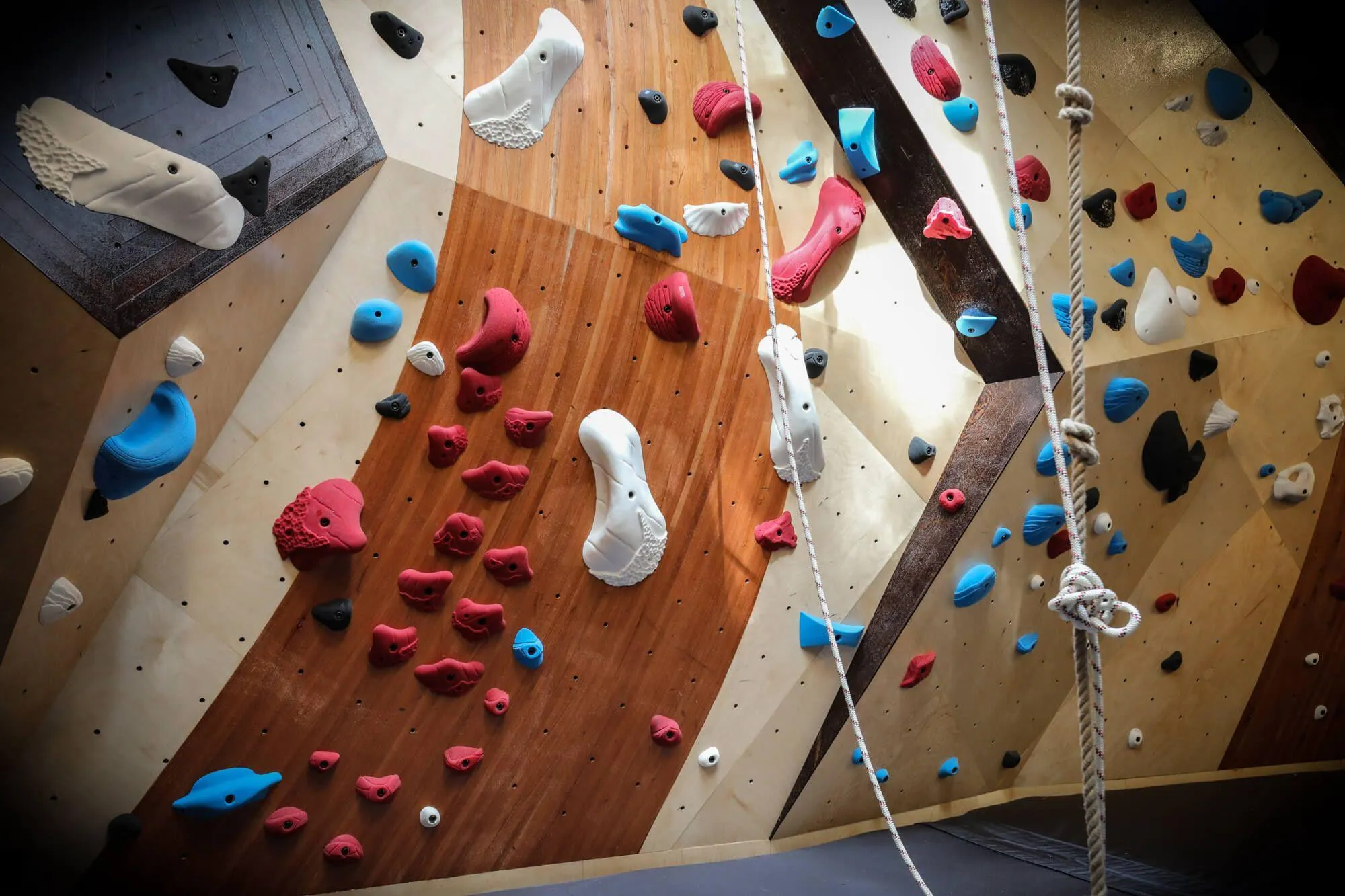 HOME, SCHOOL, AND CORPORATE CLIMBING WALL POPULARITY INCREASING WITH NATIONAL COMMERCIAL GYM GROWTH