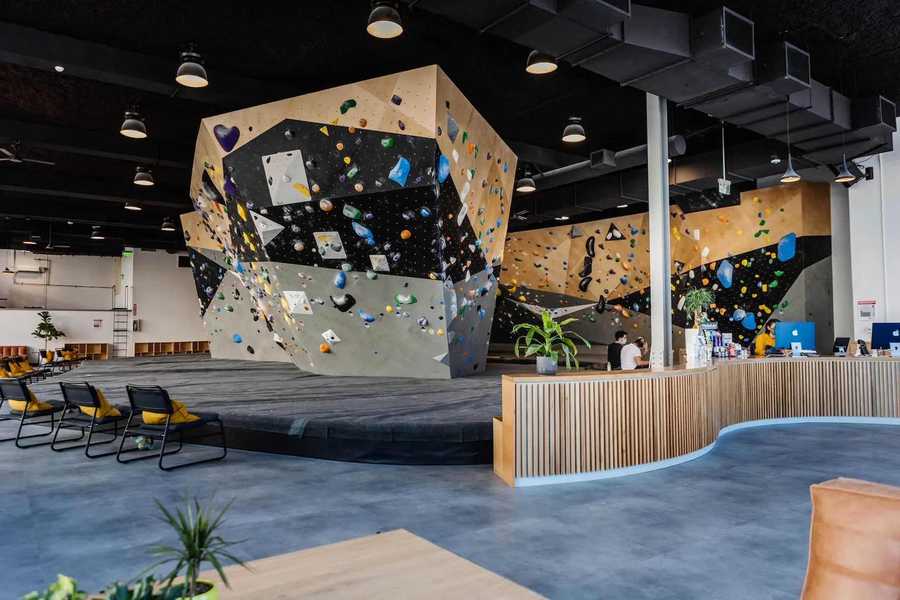 The Bay's Newest Gym: Benchmark