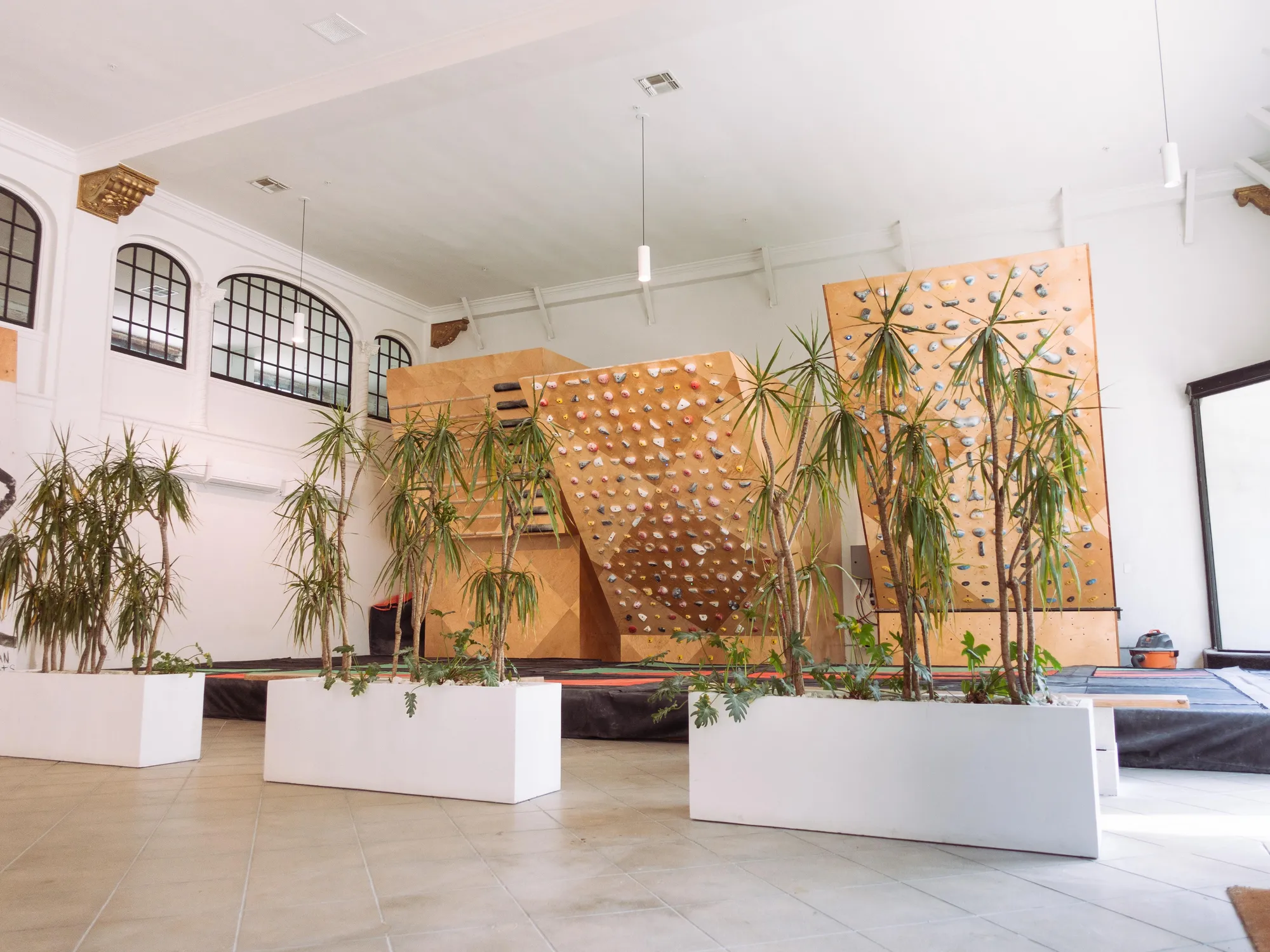Climbing walls at All Rise at Long Beach Rising, Long Beach, CA