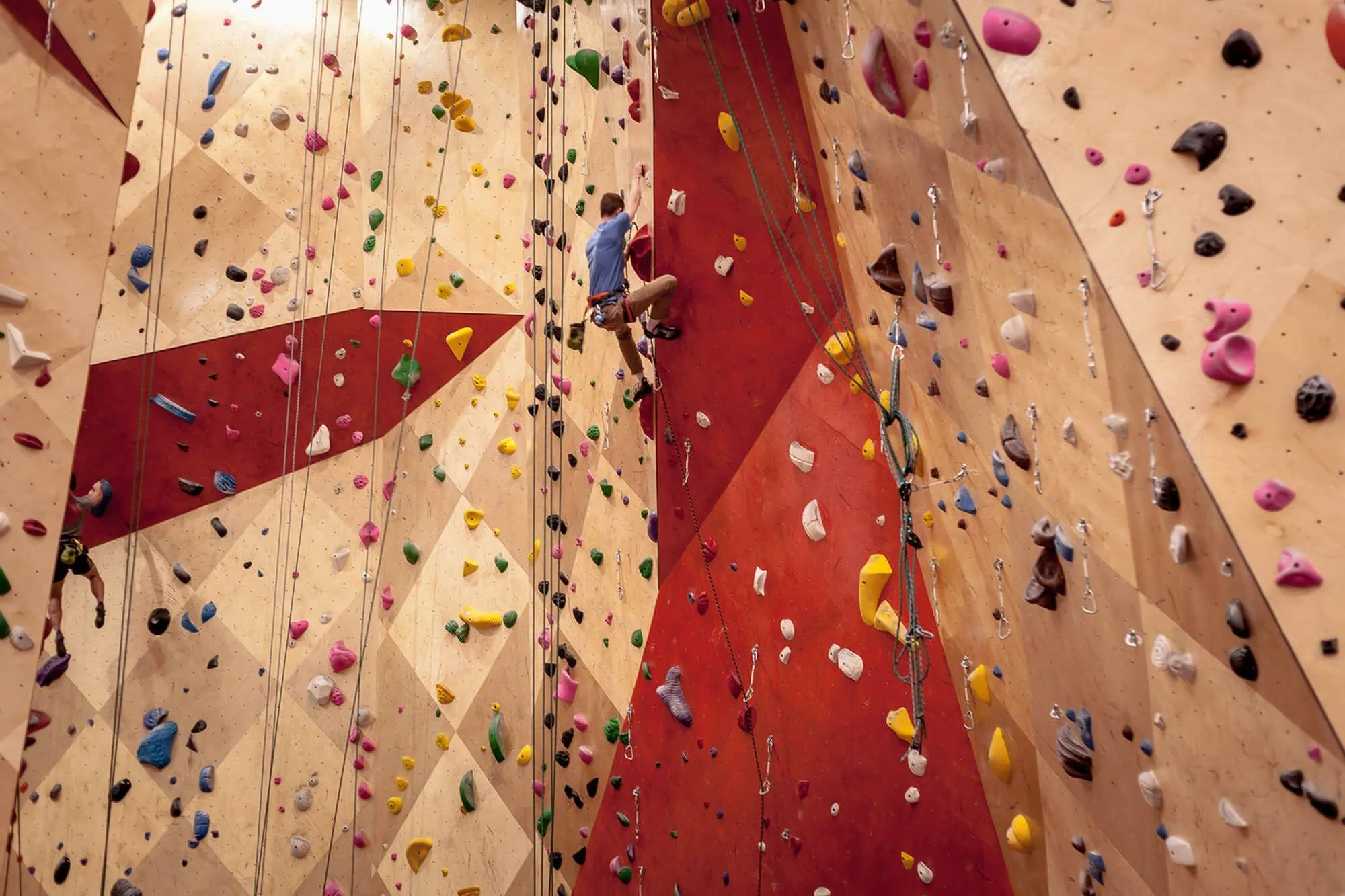 Another view of the attention-grabbing custom-stained birch hardwood walls at BKB.