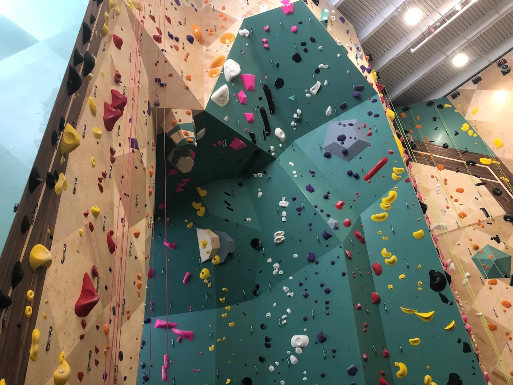 Crux Pflugerville — image 9