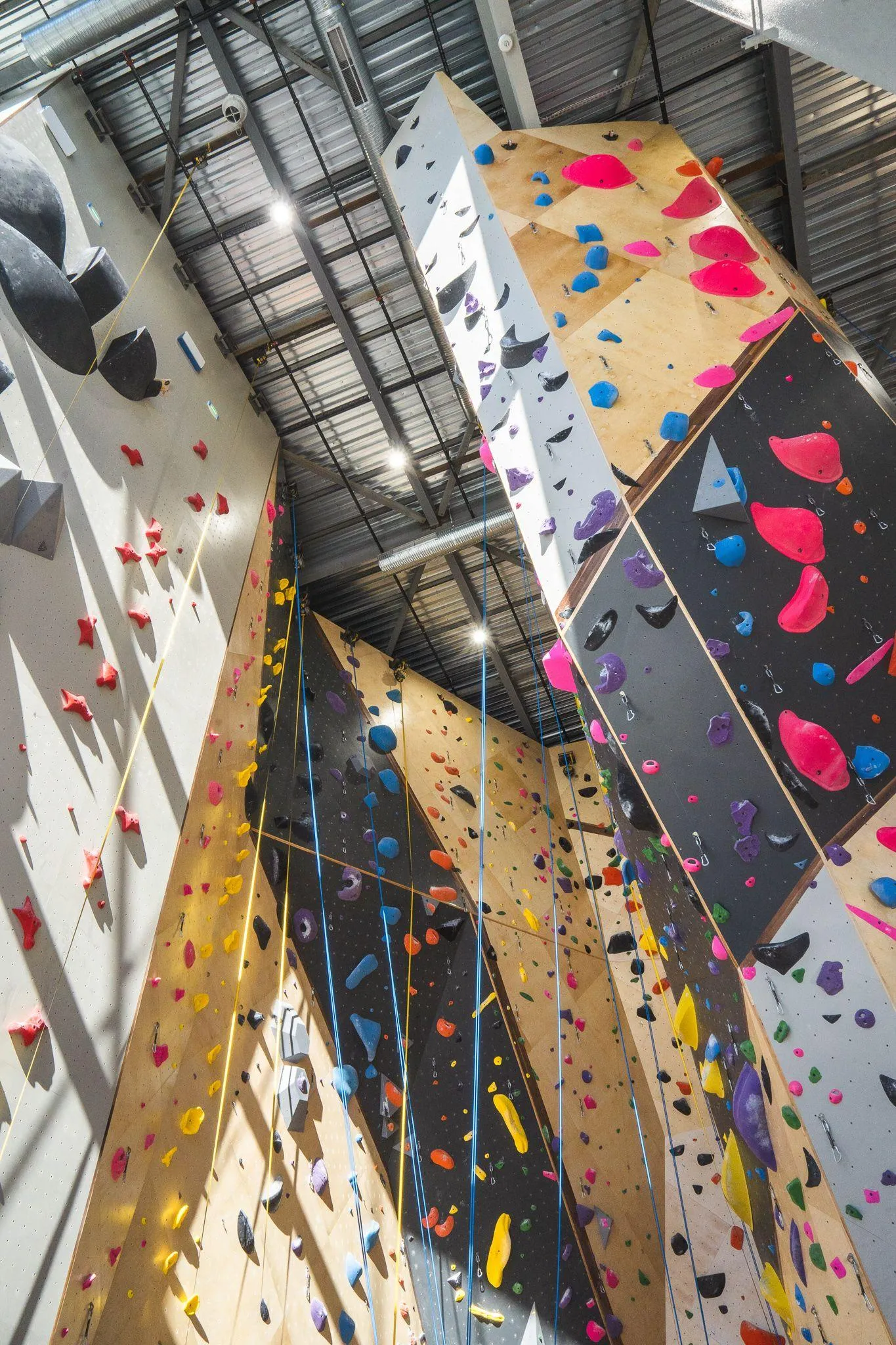 Latitude Climbing Virginia Beach — image 7