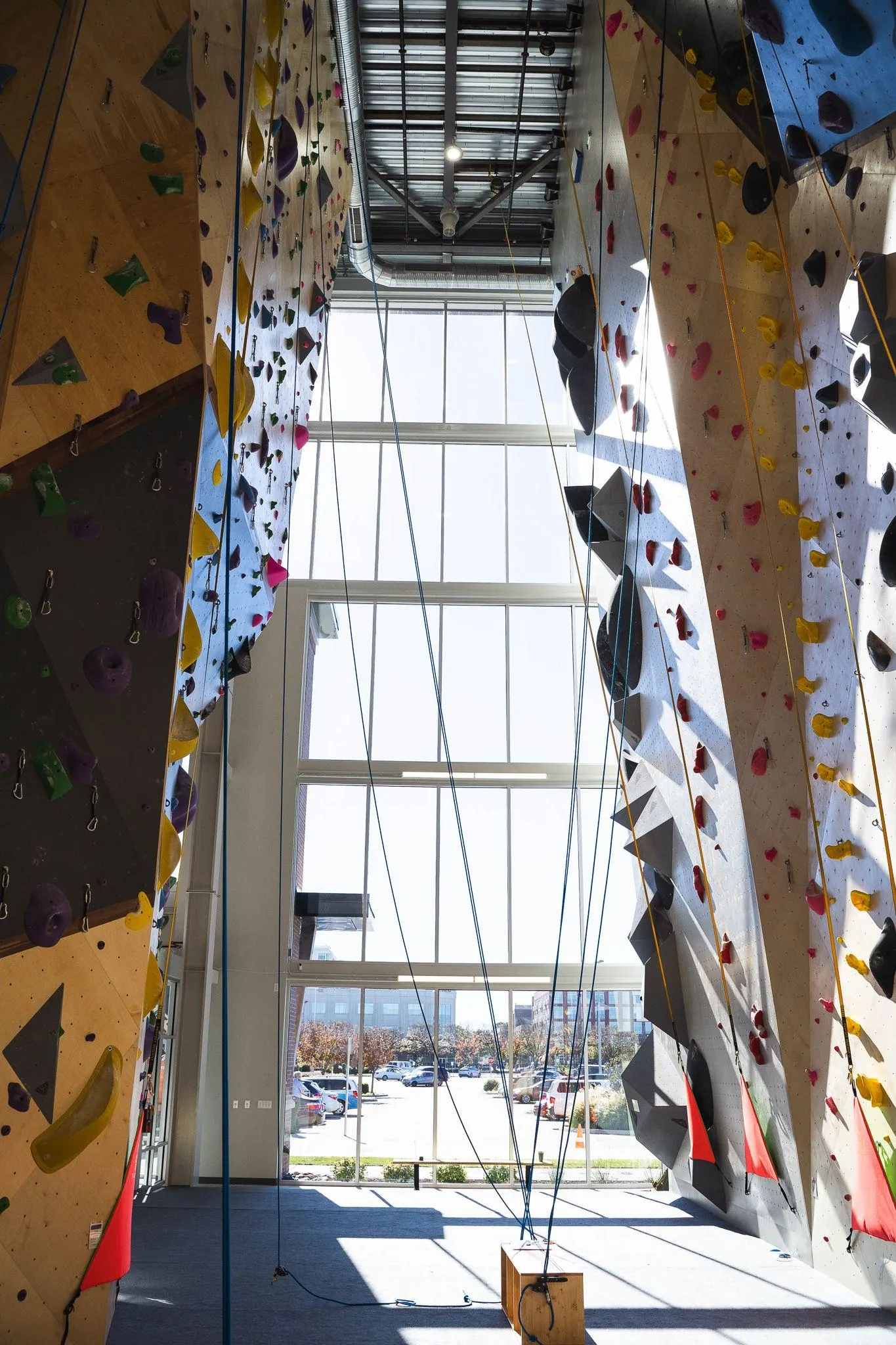 Latitude Climbing Virginia Beach — image 6