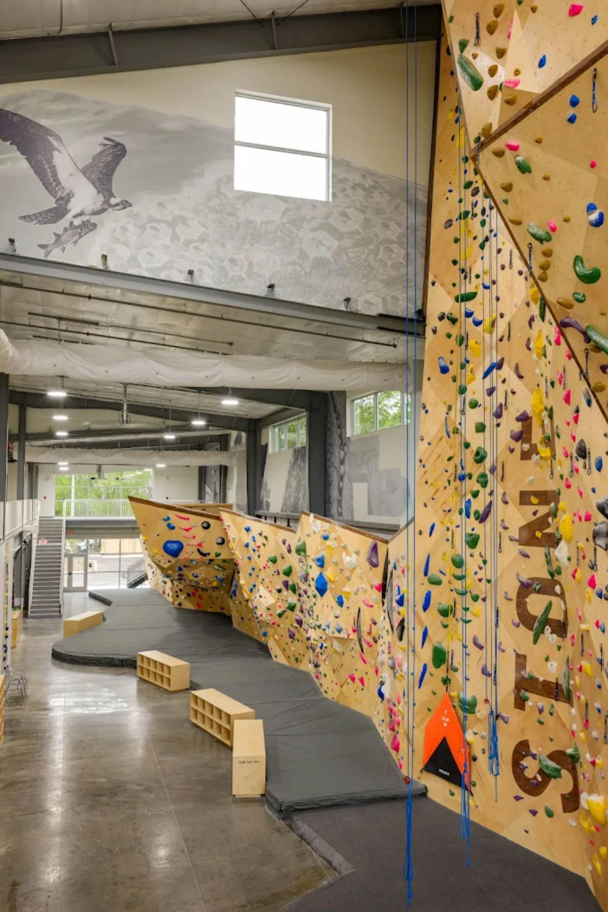 Stone Climbing — JAX — image 3