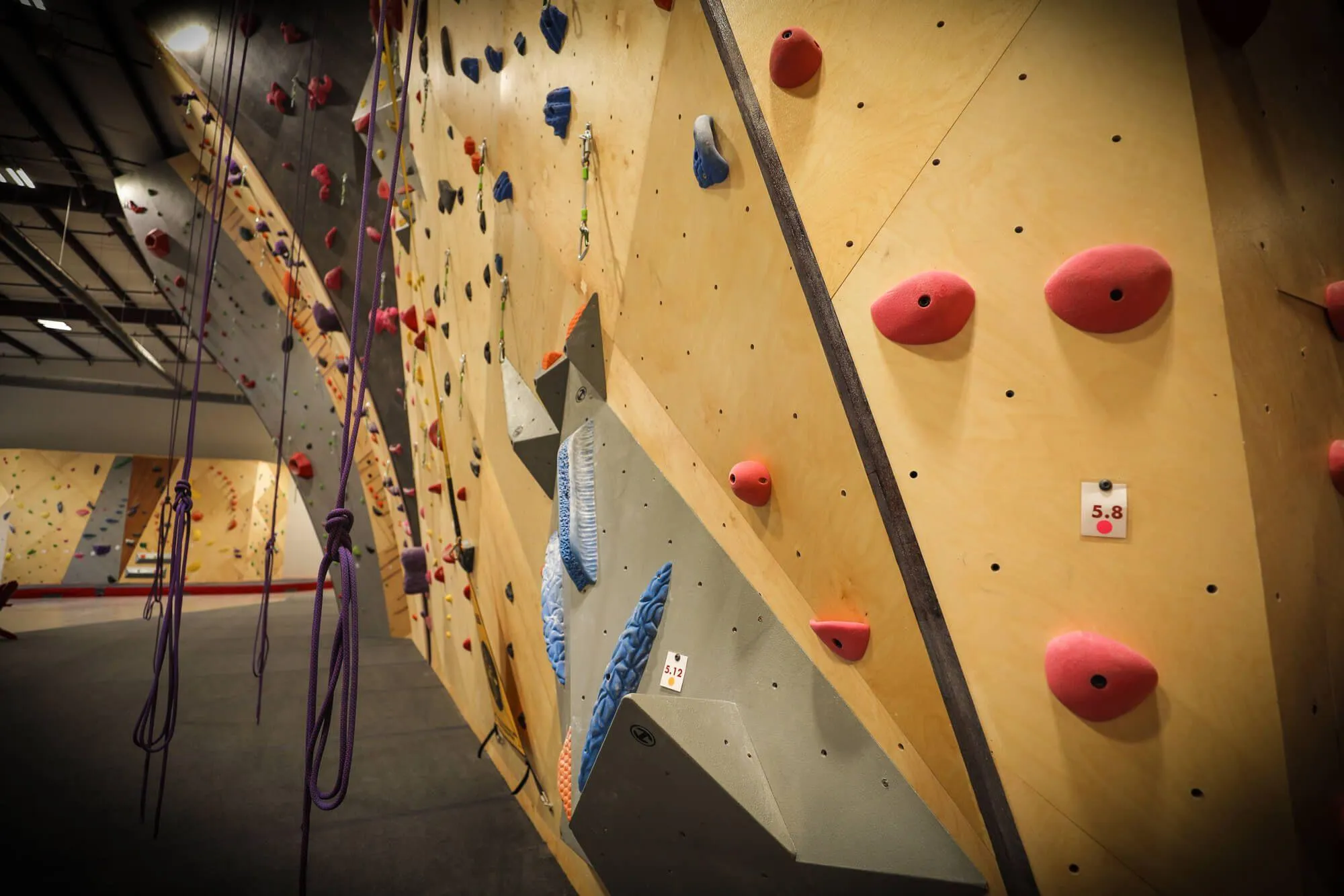 Closeup image of how Vertical Solutions finish work looks in real life. Our edge treatment is unparalleled in the industry and the unique natural birch finish to the MLM panels is beautiful to see in person. Of note is the Habit Climbing volumes and the looming ARC wall lead climbing section in the background.
