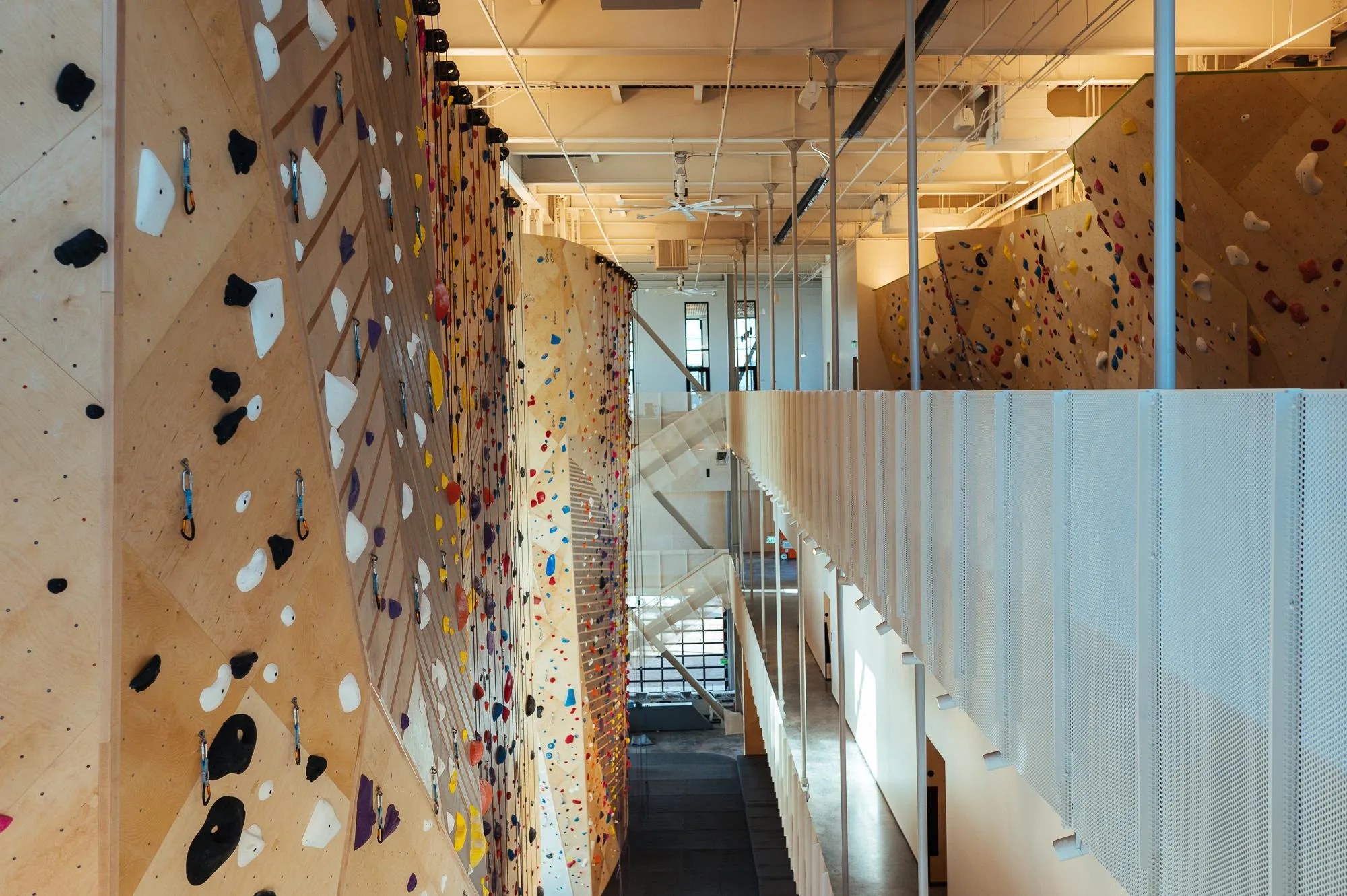 The Front Climbing Club — South Main — image 12