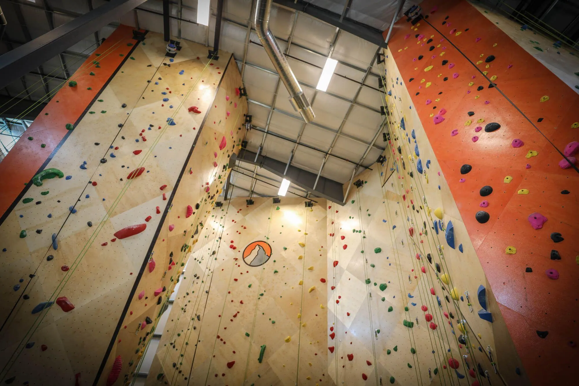 Branding their gym throughout the facility was incredibly important to the owners. This was easily delivered with the wide variety of stains & paints available from Vertical Solutions. These can be applied in order to mask the wood grain with more of a matte look, or accentuate and draw attention to it.