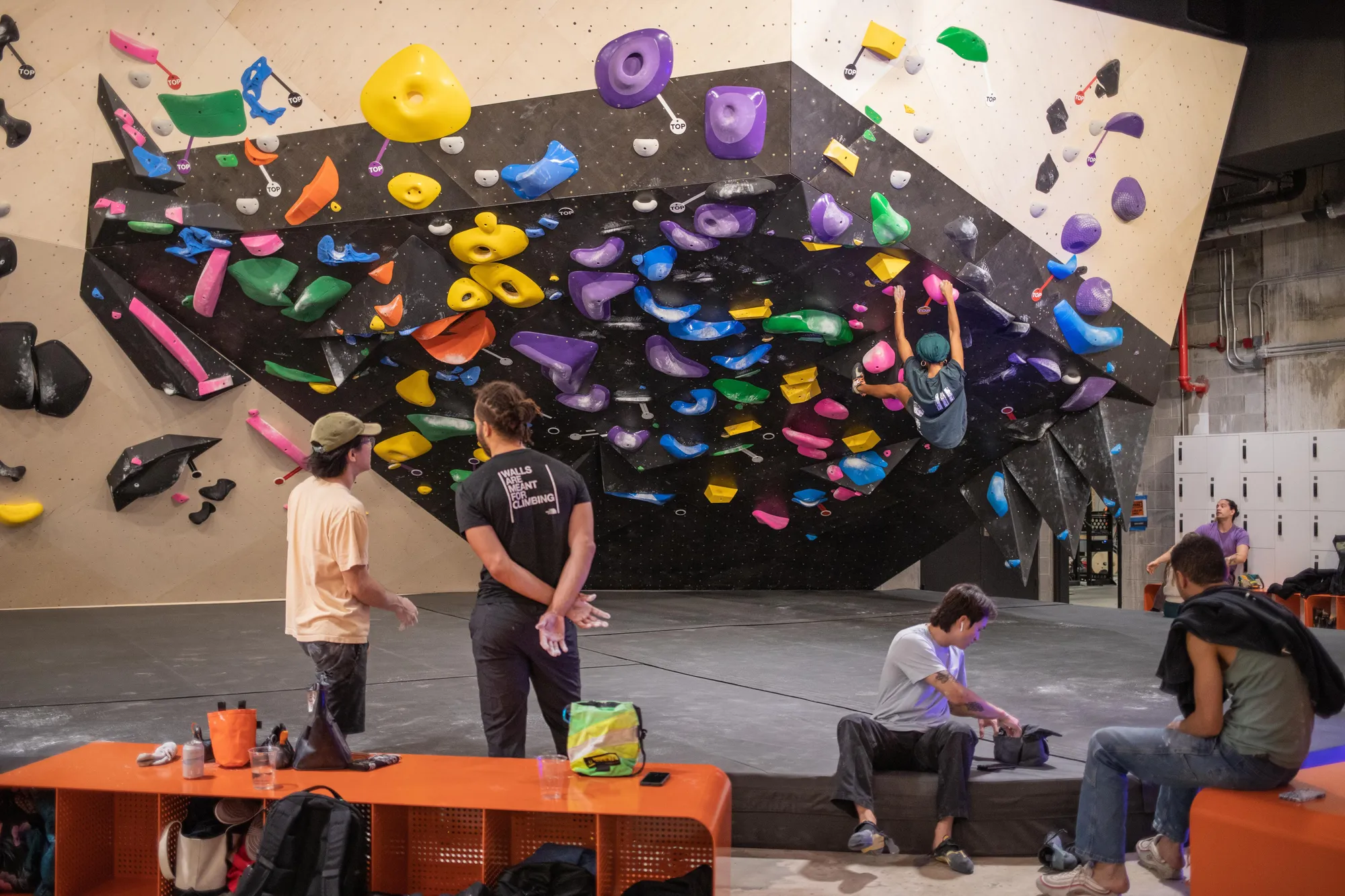 Climbing gym design showcasing American-made quality